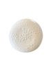 Pergay 6 Porcelain Corail Plates - 4 sizes