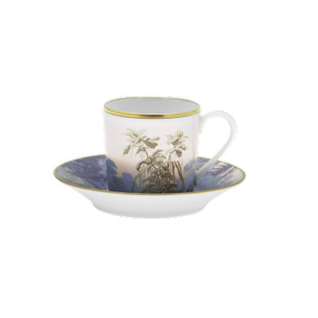 Haviland 6 cups and saucers Le Brésil - 3 diameters