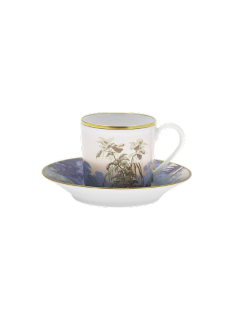 Haviland 6 cups and saucers Le Brésil - 3 diameters