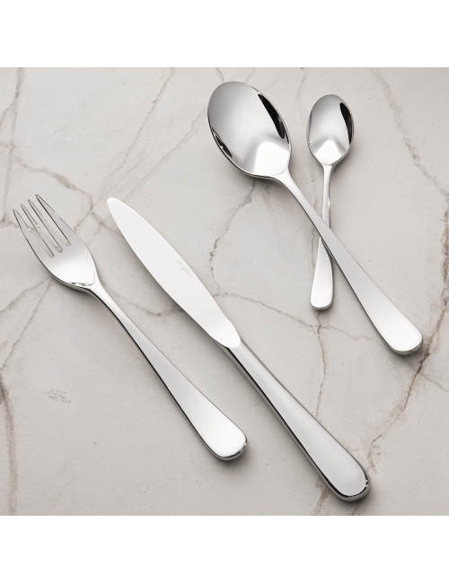 DEGRENNE Box 50 cutlery Aquatic Mirror