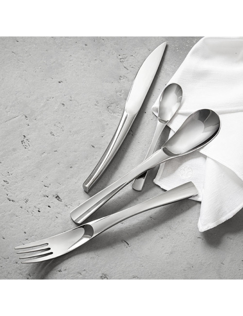 DEGRENNE XY mirror Box 50 cutlery