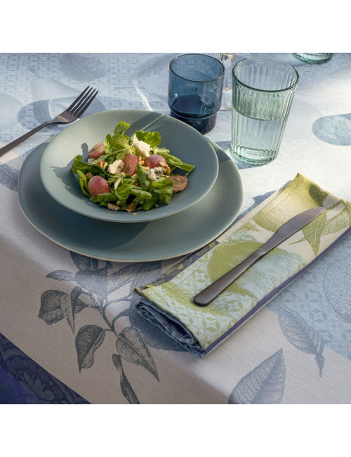 Le Jacquard Français Arrière Pays 4 napkins - 2 colors