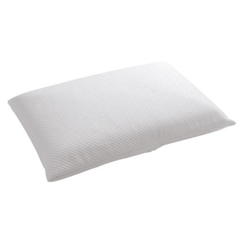 André Renault Viscogel pillow 60x40cm