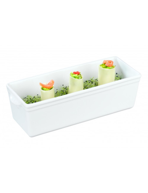 Apilco Galantine mold - 2 sizes