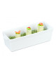 Apilco Galantine mold - 2 sizes