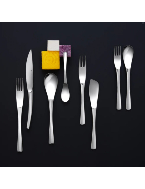 DEGRENNE 6 gourmet fish spatulas XY Miroir