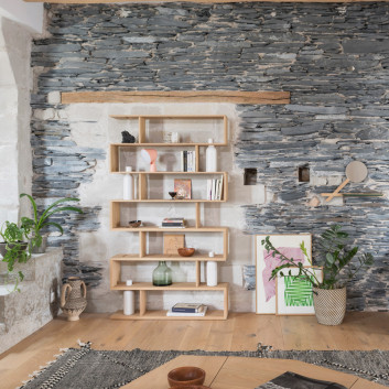 Drugeot Manufacture Bibliofleur bookcase in solid oak