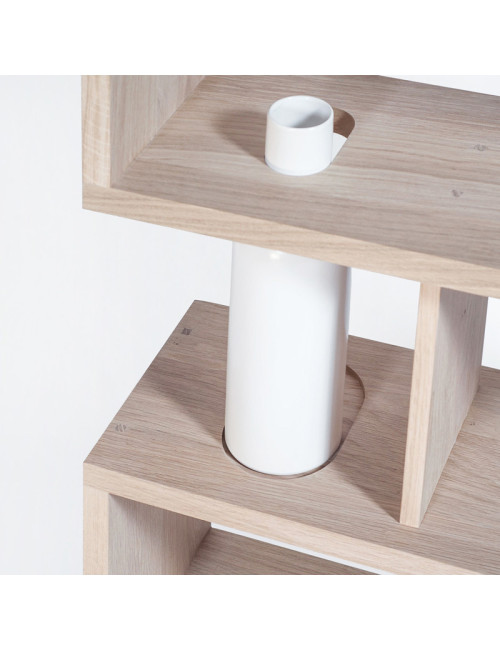 Drugeot Manufacture Bibliofleur bookcase in solid oak