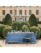Garnier Thiebaut 4 napkins Harmonie blue