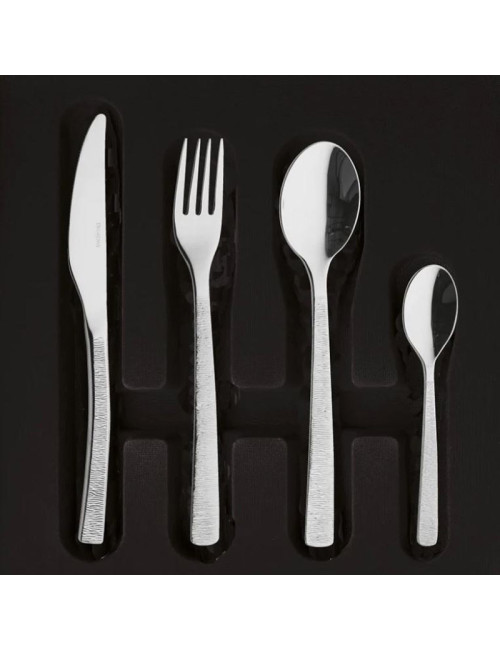 DEGRENNE Box of 124 cutlery Astrée Ciselé Mirror