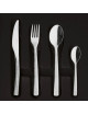 DEGRENNE Box of 124 cutlery Astrée Ciselé Mirror