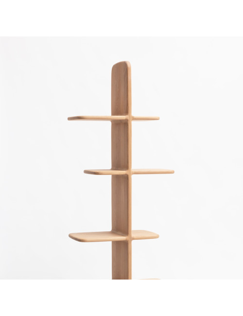 Drugeot Manufacture Tehème solid oak bookcase