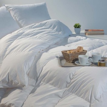 Summer Duvet goose down 165g