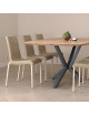 CARRIER Venise chair - 32 colors 52 fabrics