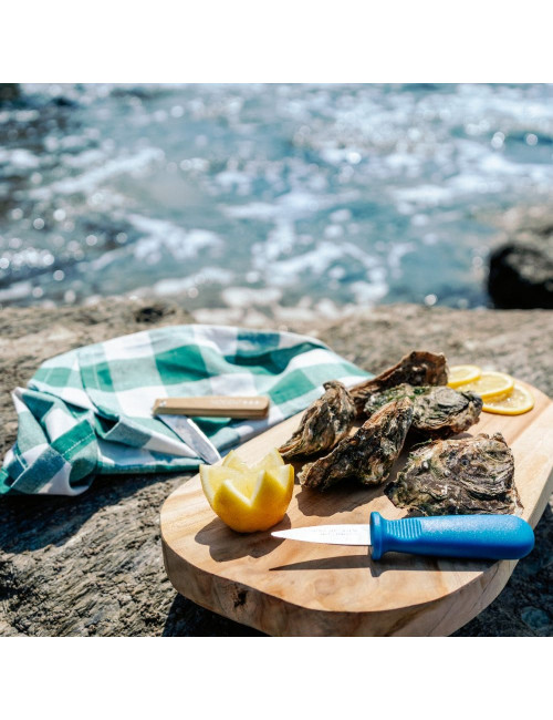 NOGENT Classic Polypro Blue Oyster Knife