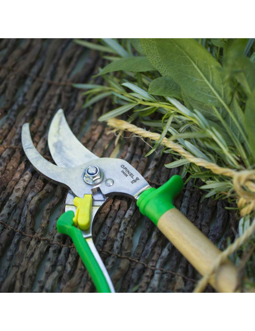 OPINEL pruning shears in wood and stainless steel - 2 colours