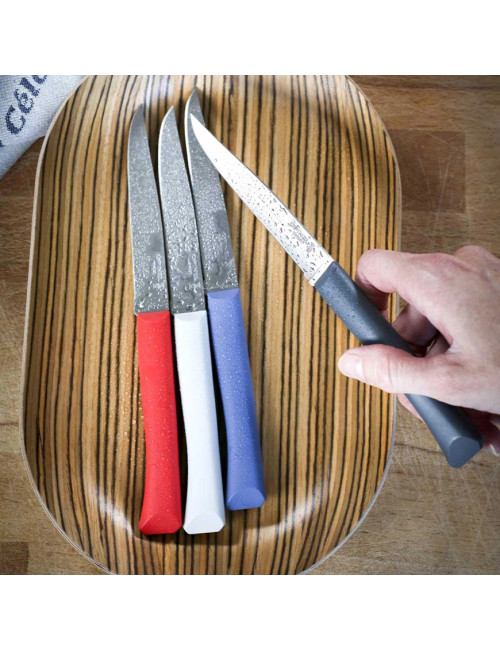 OPINEL Box of 4 Bon appétit + polymer knives - 5 colors