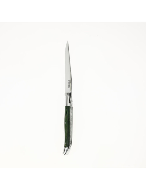 CHATEAU LAGUIOLE Set of 6 Table Knives, Green Stamina Heritage Collection