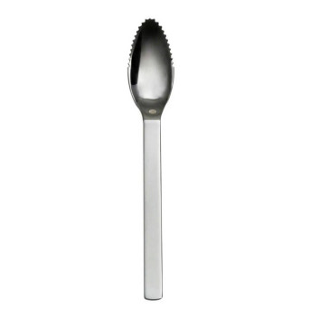DEGRENNE Set of 6 Modulo Miroir Citrus Spoons