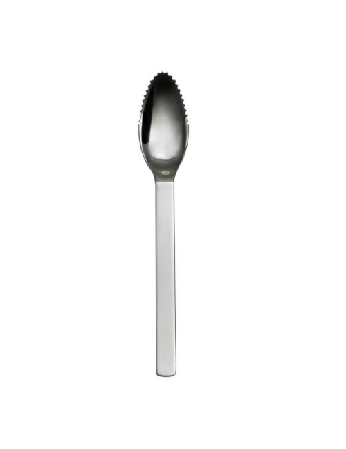 DEGRENNE Set of 6 Modulo Miroir Citrus Spoons