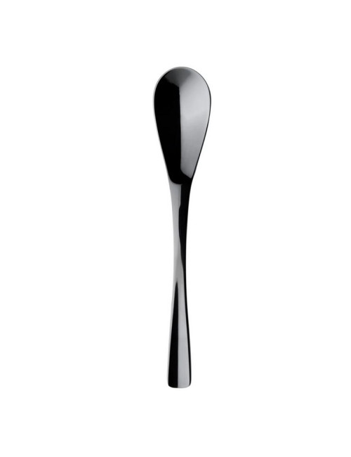 DEGRENNE Set of 6 XY Black Mirror Gourmet Spoons