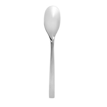 DEGRENNE Guest Star Mirror Serving Spoon