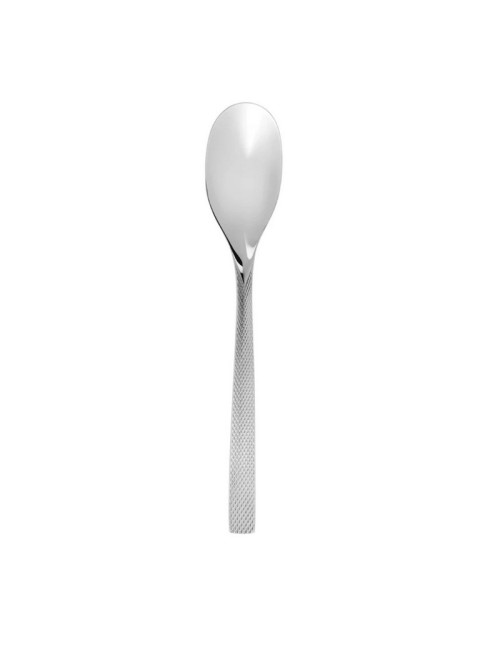 DEGRENNE Guest Star Mirror Serving Spoon