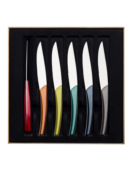 DEGRENNE Set of 6 Quartz Mirror Multicolor Steak Knives