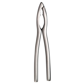 DEGRENNE Stainless Steel Shellfish Tongs
