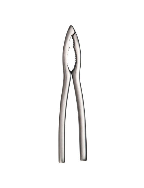 DEGRENNE Stainless Steel Shellfish Tongs